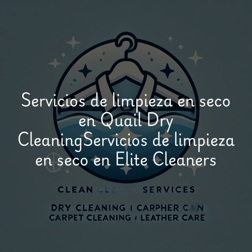 Servicios de limpieza en seco en