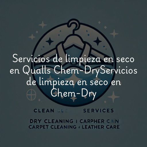 Servicios de limpieza en seco en