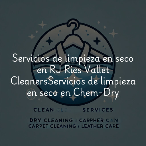 Servicios de limpieza en seco en