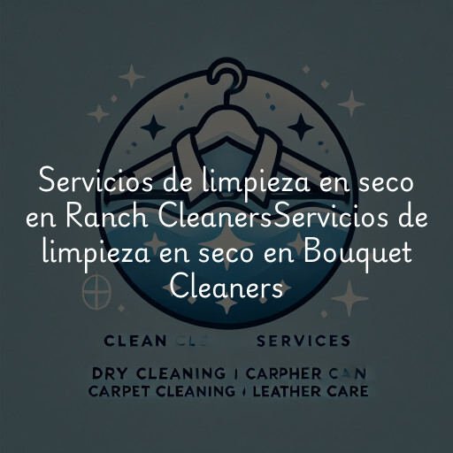 Servicios de limpieza en seco en