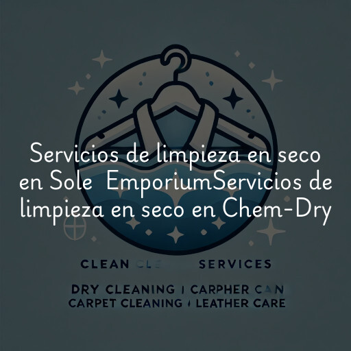 Servicios de limpieza en seco en