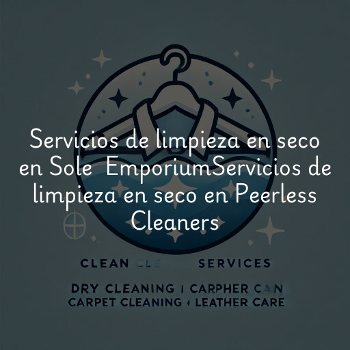 Servicios de limpieza en seco en
