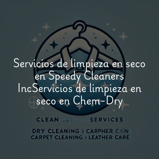 Servicios de limpieza en seco en