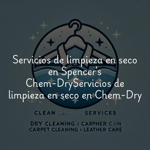 Servicios de limpieza en seco en