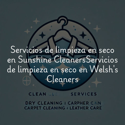 Servicios de limpieza en seco en