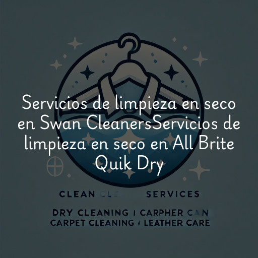 Servicios de limpieza en seco en