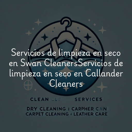 Servicios de limpieza en seco en