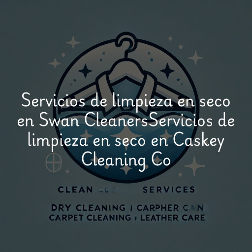 Servicios de limpieza en seco en