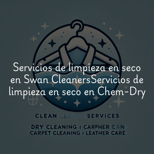 Servicios de limpieza en seco en