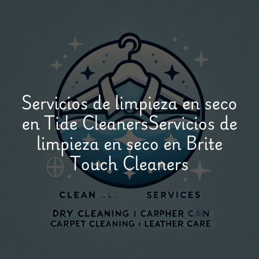 Servicios de limpieza en seco en