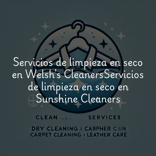 Servicios de limpieza en seco en