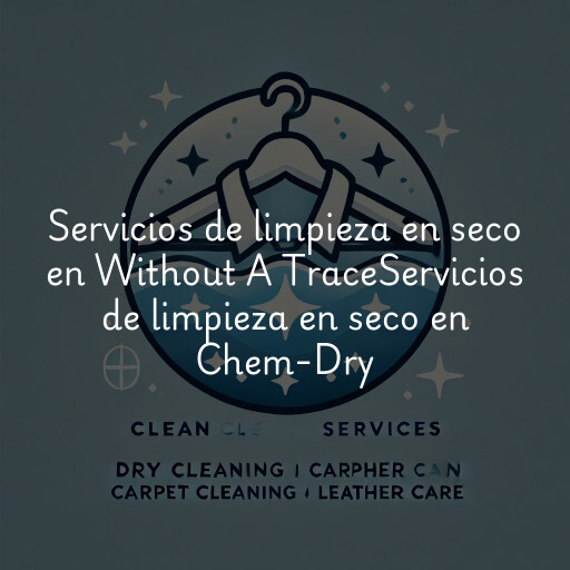 Servicios de limpieza en seco en