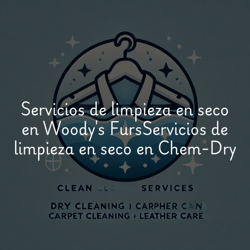 Servicios de limpieza en seco en