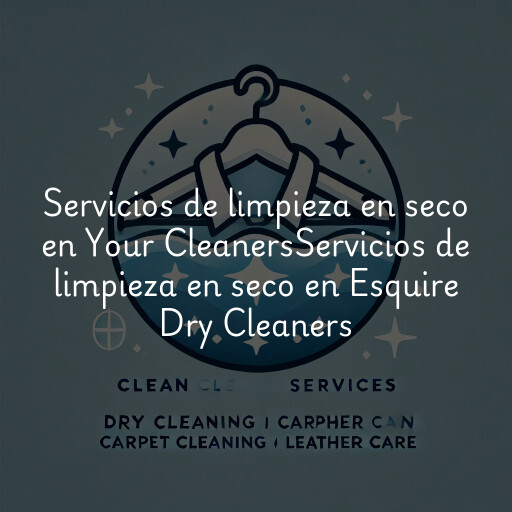 Servicios de limpieza en seco en