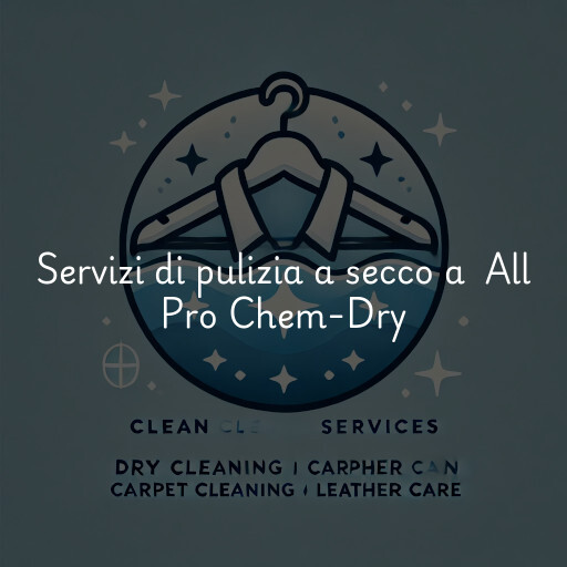 Servizi di pulizia a secco a All Pro Chem-Dry