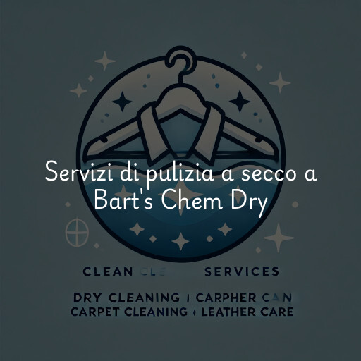 Servizi di pulizia a secco a Bart's Chem Dry