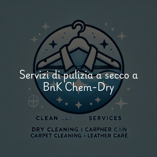 Servizi di pulizia a secco a BnK Chem-Dry