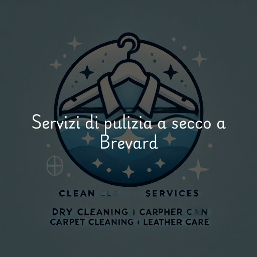 Servizi di pulizia a secco a Brevard