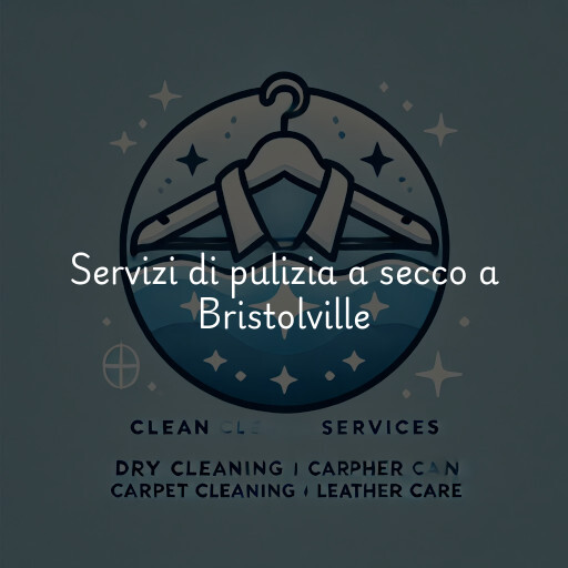 Servizi di pulizia a secco a Bristolville