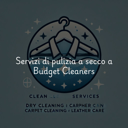 Servizi di pulizia a secco a Budget Cleaners