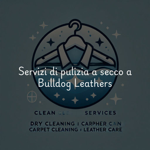 Servizi di pulizia a secco a Bulldog Leathers