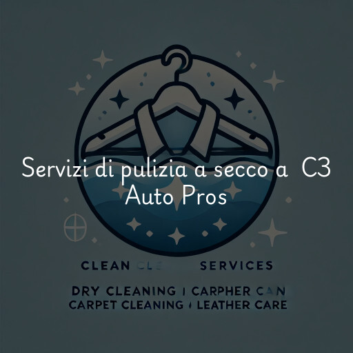 Servizi di pulizia a secco a C3 Auto Pros