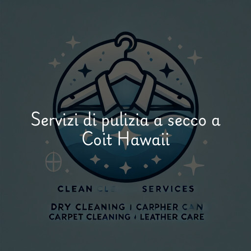 Servizi di pulizia a secco a Coit Hawaii
