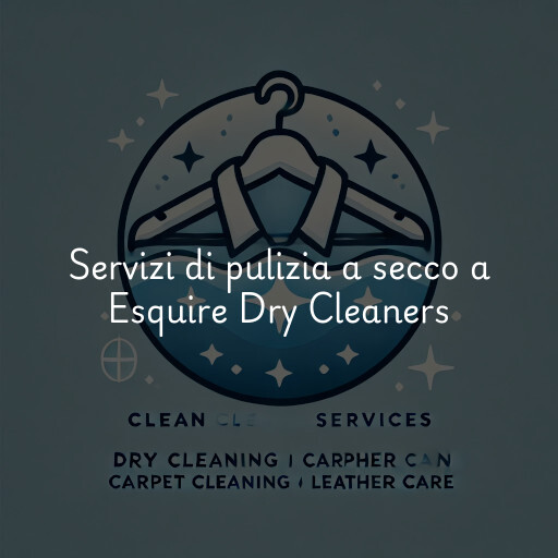 Servizi di pulizia a secco a Esquire Dry Cleaners