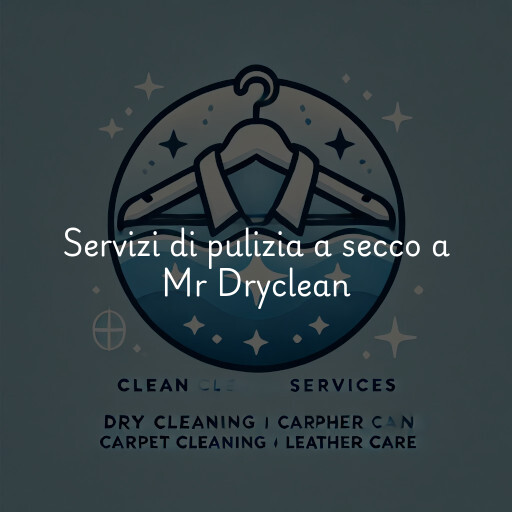 Servizi di pulizia a secco a Mr Dryclean