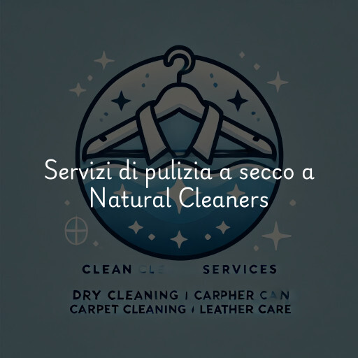 Servizi di pulizia a secco a Natural Cleaners