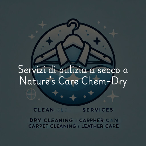 Servizi di pulizia a secco a Nature's Care Chem-Dry