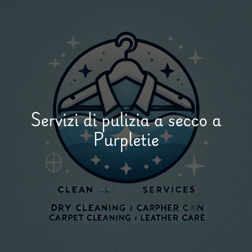 Servizi di pulizia a secco a Purpletie