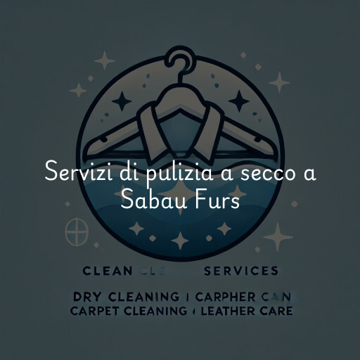 Servizi di pulizia a secco a Sabau Furs