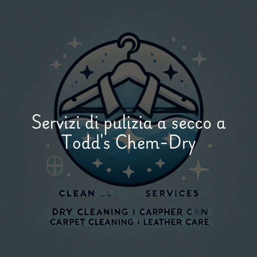 Servizi di pulizia a secco a Todd's Chem-Dry