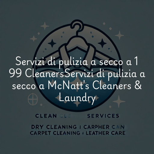 Servizi di pulizia a secco a