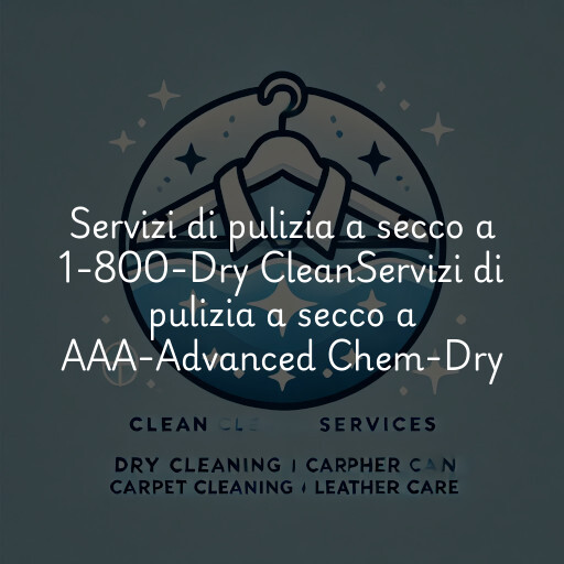 Servizi di pulizia a secco a