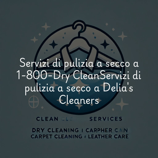 Servizi di pulizia a secco a