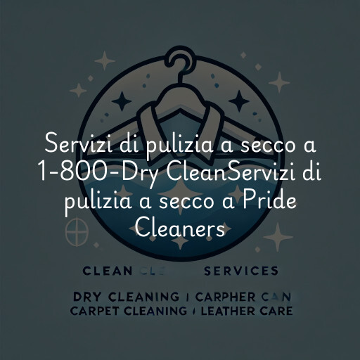 Servizi di pulizia a secco a