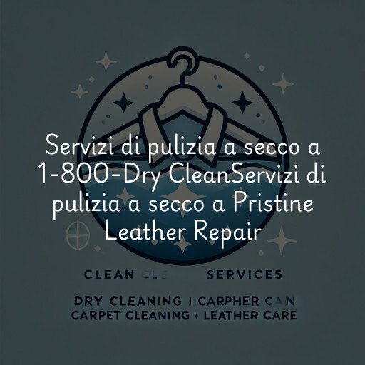 Servizi di pulizia a secco a