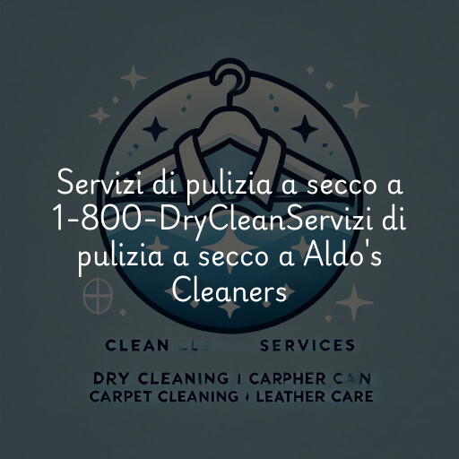 Servizi di pulizia a secco a