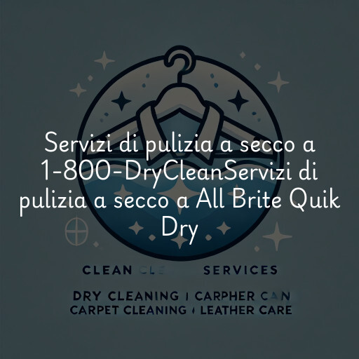 Servizi di pulizia a secco a