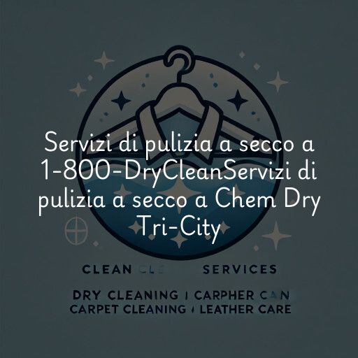 Servizi di pulizia a secco a