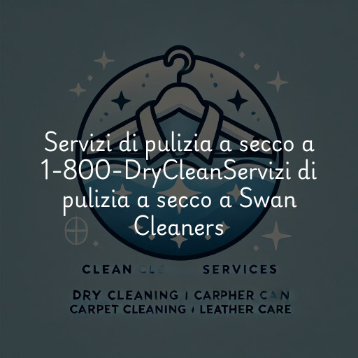 Servizi di pulizia a secco a