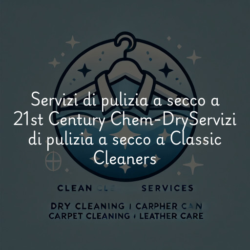 Servizi di pulizia a secco a