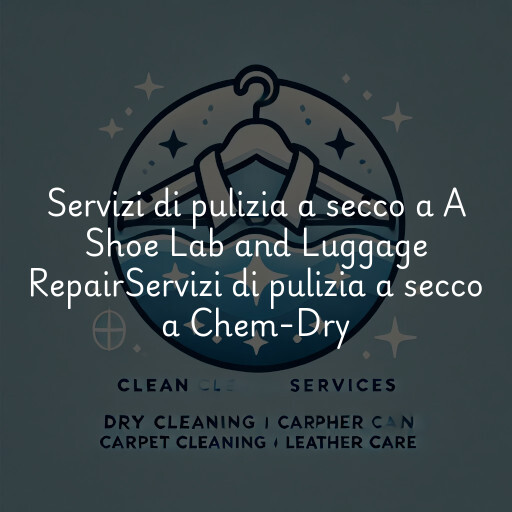 Servizi di pulizia a secco a