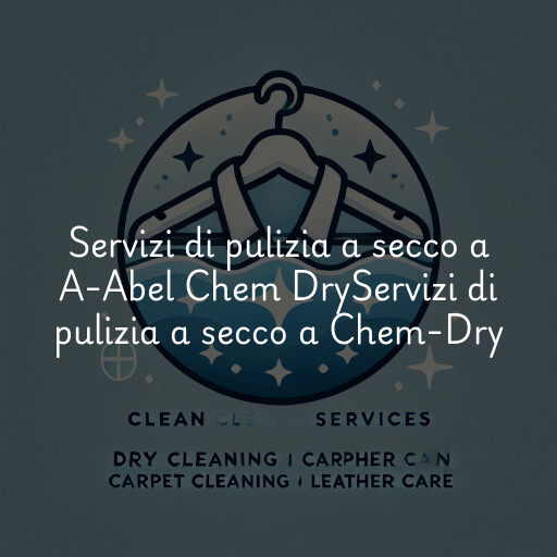 Servizi di pulizia a secco a