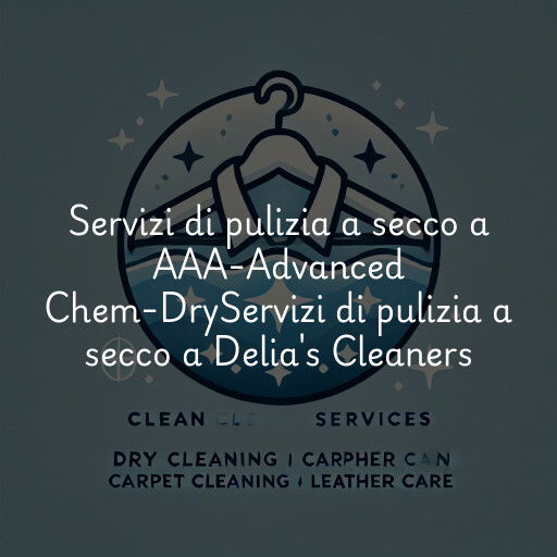 Servizi di pulizia a secco a