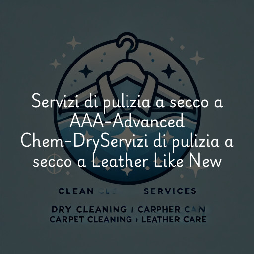 Servizi di pulizia a secco a