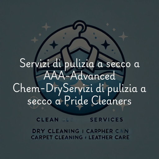 Servizi di pulizia a secco a