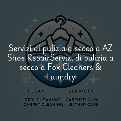 Servizi di pulizia a secco a